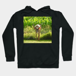 Whitetail Deer, Wild Animals, Wildlife Photography, Gifts Hoodie